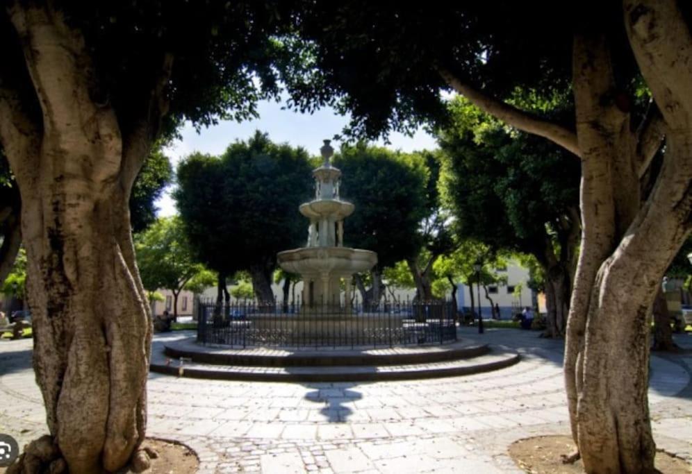 4 La Laguna, Centrico Y Acogedor La Laguna  Eksteriør billede